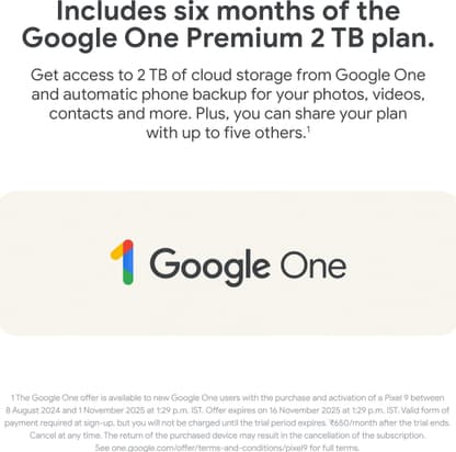 Google Pixel 9 (Wintergreen, 256 GB) - Thumbnail 13