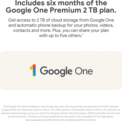 Google Pixel 9 (Wintergreen, 256 GB) - Thumbnail 13