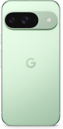 Google Pixel 9 (Wintergreen, 256 GB) - Thumbnail 2