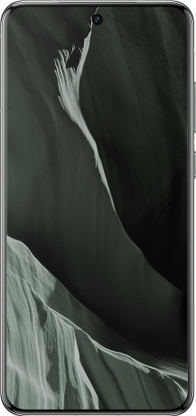 vivo X200 5G (Natural Green, 256 GB) - Thumbnail 5